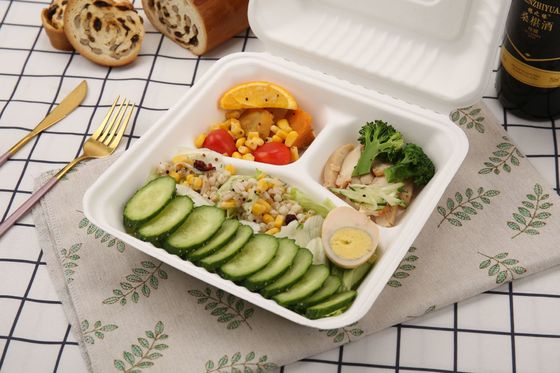 3 Compartment Sugarcane Bagasse Lunch Box Clamshell Containers For Camping Picnic