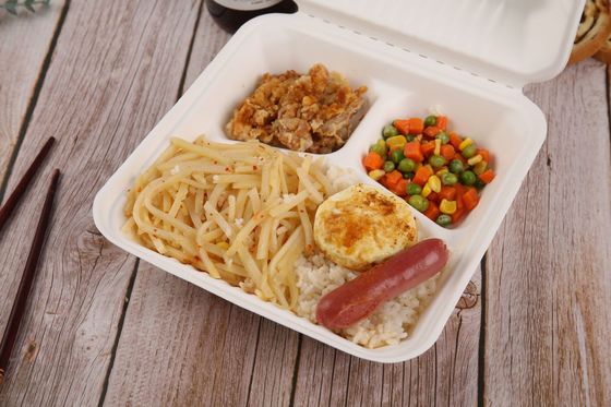 3 Compartment Sugarcane Bagasse Lunch Box Clamshell Containers For Camping Picnic